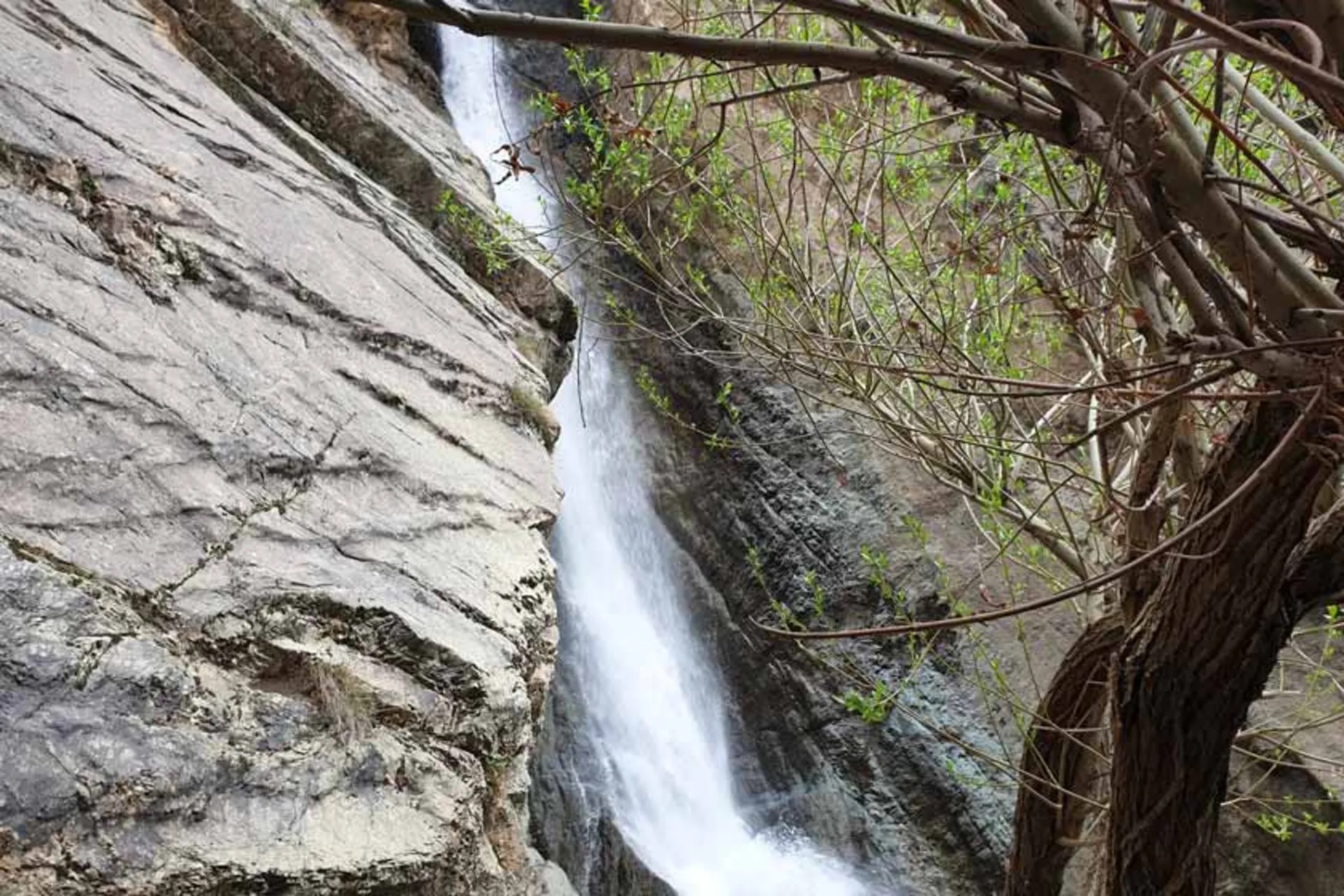 روستای رندان
