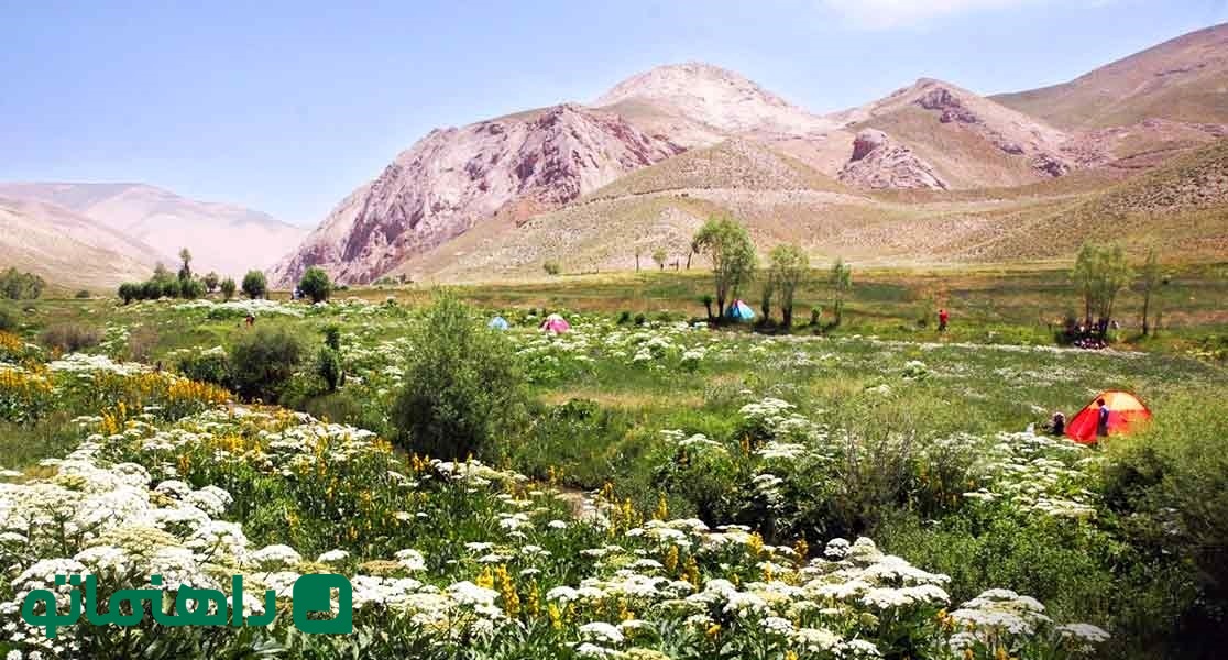 تنگه واشی