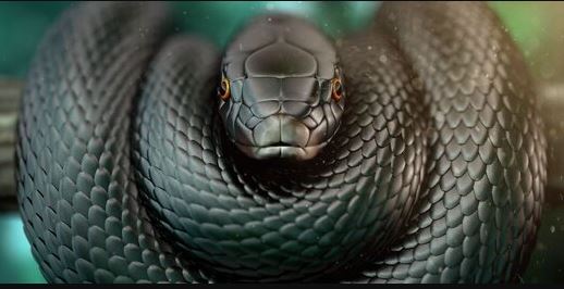 مار