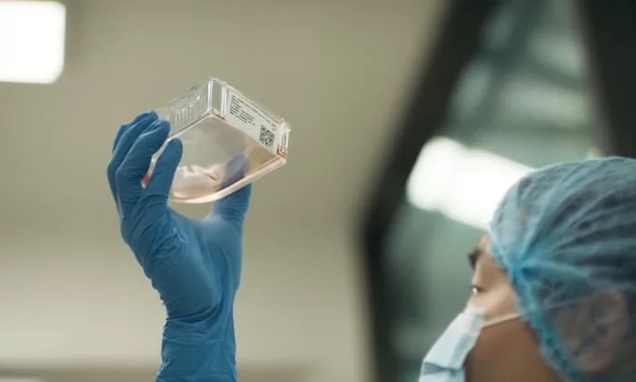 DNA ماموت‌های منقرض‌شده