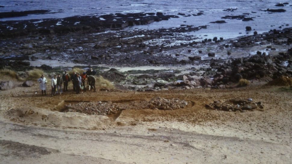 پیکتی ها