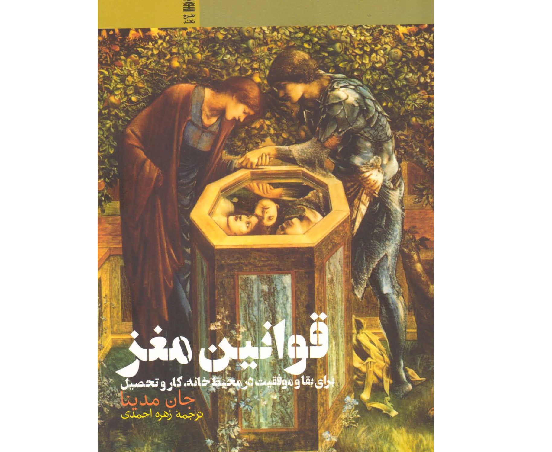 قوانین مغز