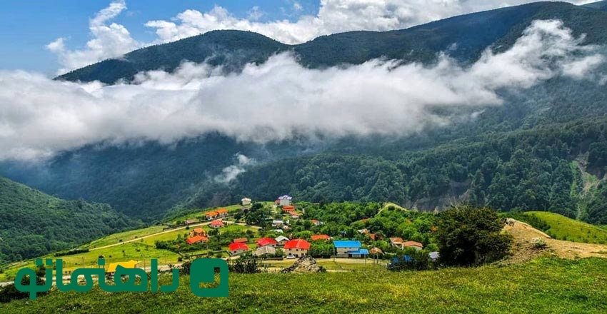 جنگل ابرهای