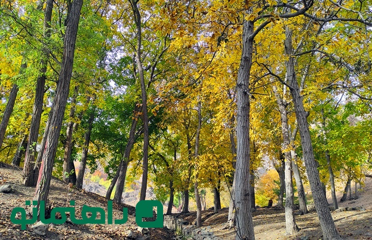 درکه