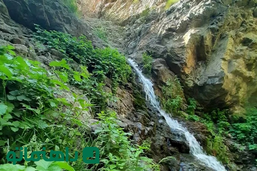 کوهنوردی