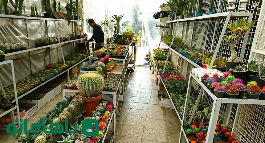 کجلاتی