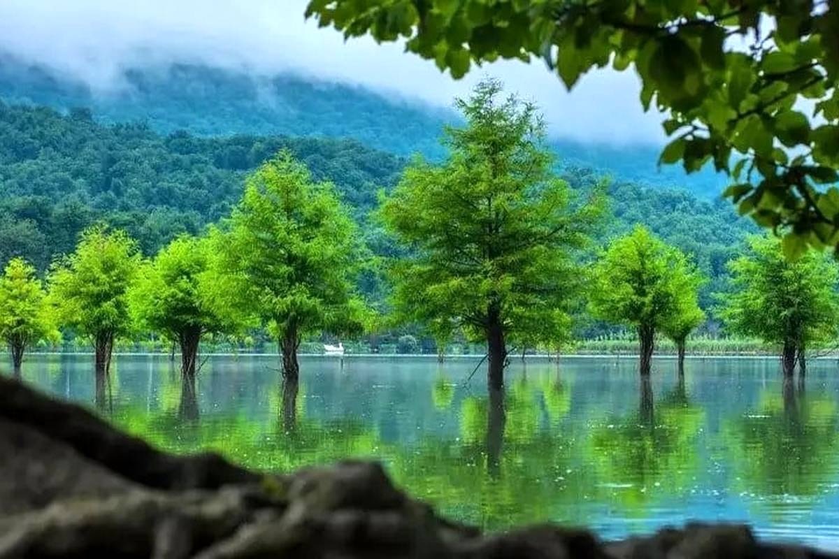 3 بهشت پنهان و خنک نزدیک تهران؛ 3 مقصد جدید سفر در فصل گرما