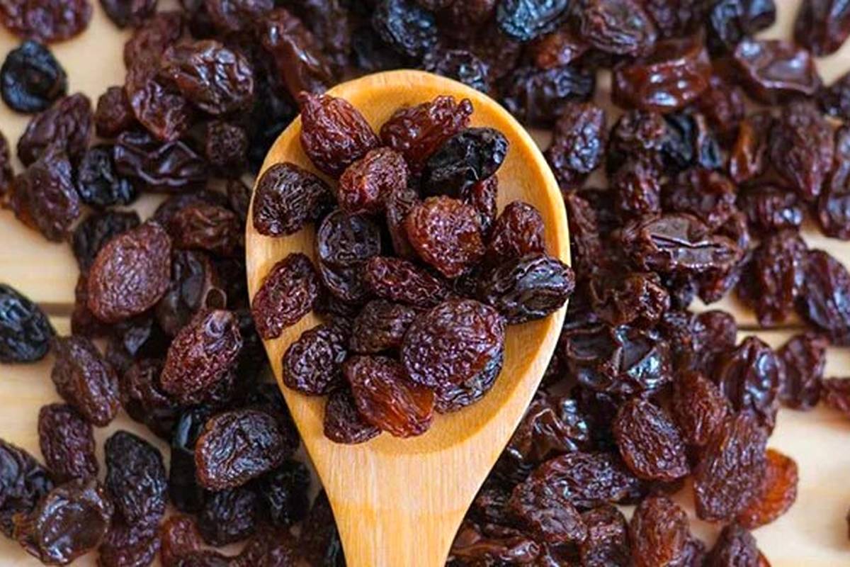 عسل و مویز به بهبود حافظه کمک میکنند؟/ کندر برای تقویت ذهن مفید است؟