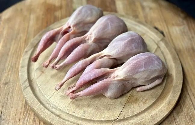 
قیمت گوشت مرغ، امروز ۲۲ خرداد ۱۴۰۴
