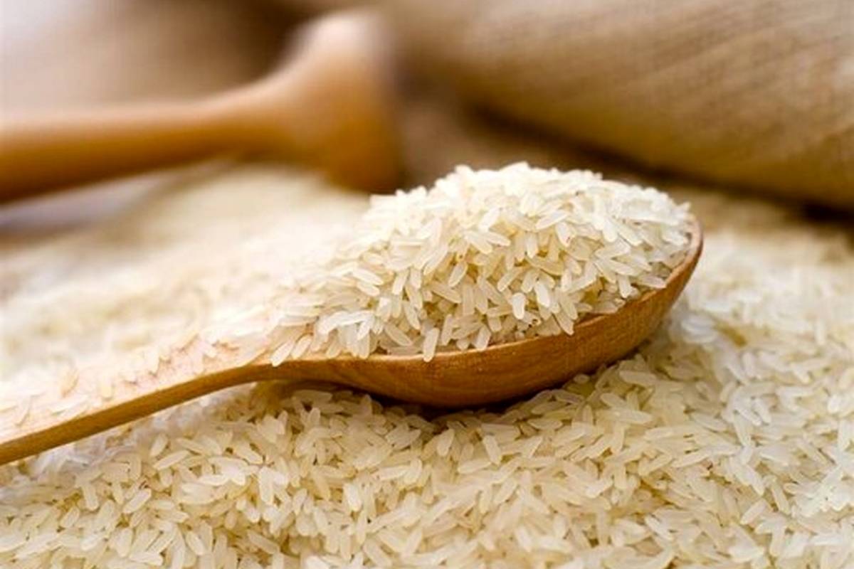 قیمت روز برنج خارجی اول فروردین ۱۴۰۴ / هر کیلو برنج هندی و پاکستانی چند؟