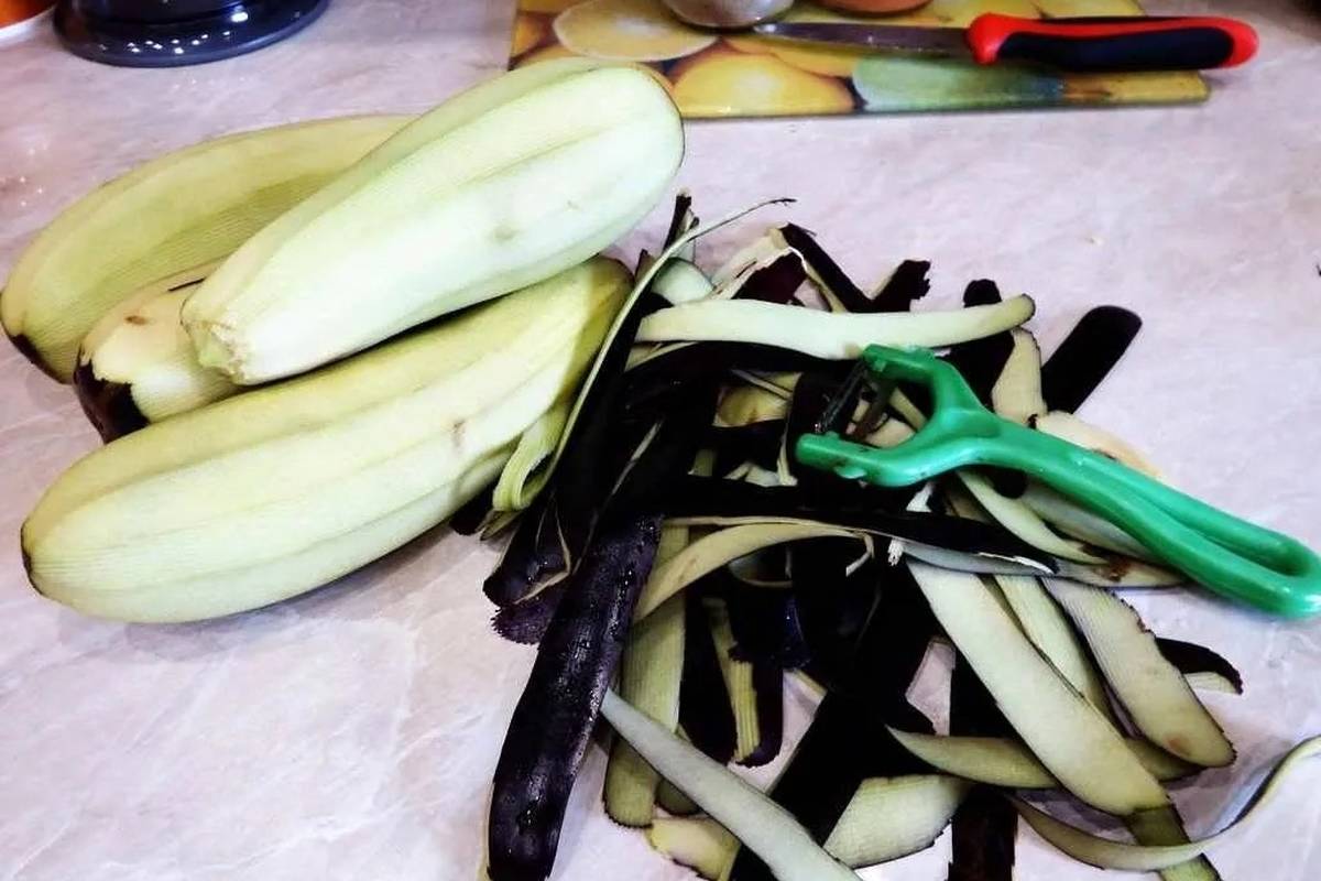۱۳ خاصیت بی نظیر دمنوش پوست بادمجان (+ طرز تهیه)