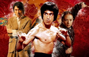 فهرست بهترین فیلم های رزمی بروسلی و جکی چان 