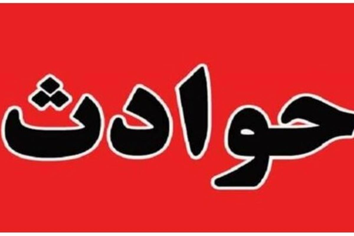 طوطیهای گرسنه با گاز گرفتن سیمها، برق این شهر را قطع کردند!