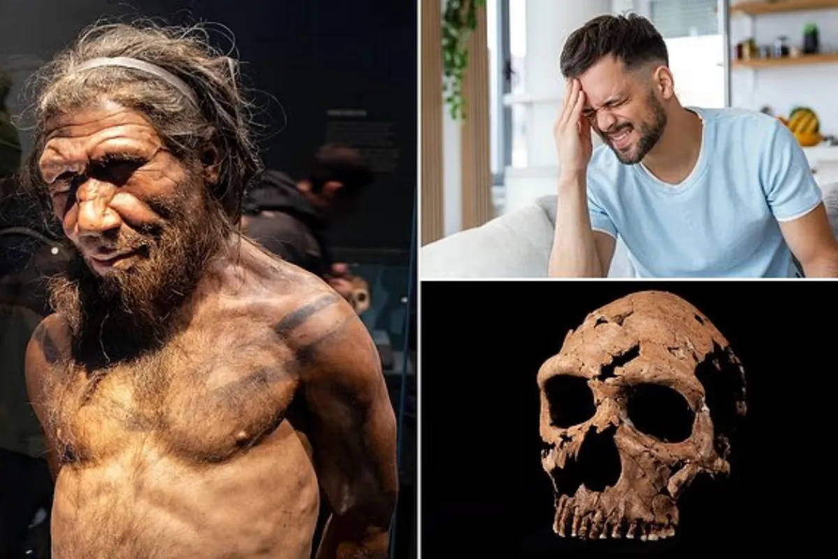 اگر دچار سردرد میشوید شاید اجداد ۲۵۰ هزار سال پیشتان مقصر باشند!