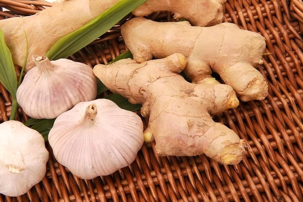این ۸ گیاه و ادویه برای کاهش قند خون معجزه میکنند