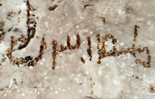 کشف کتیبه ای ساسانی در نکوهش «مهر دروجی» (پیمان شکنی) در مرودشت فارس 