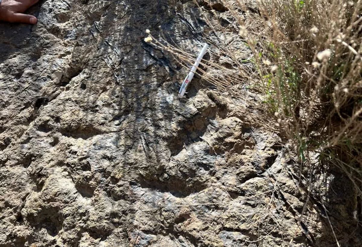 کشف ردپای دایناسور در زرند