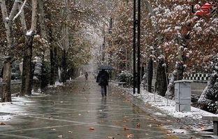 وضعیت آب و هوا امروز پنجشنبه 26 مهر 1403/ پیش بینی وضعیت هوا فردا جمعه 27 مهر