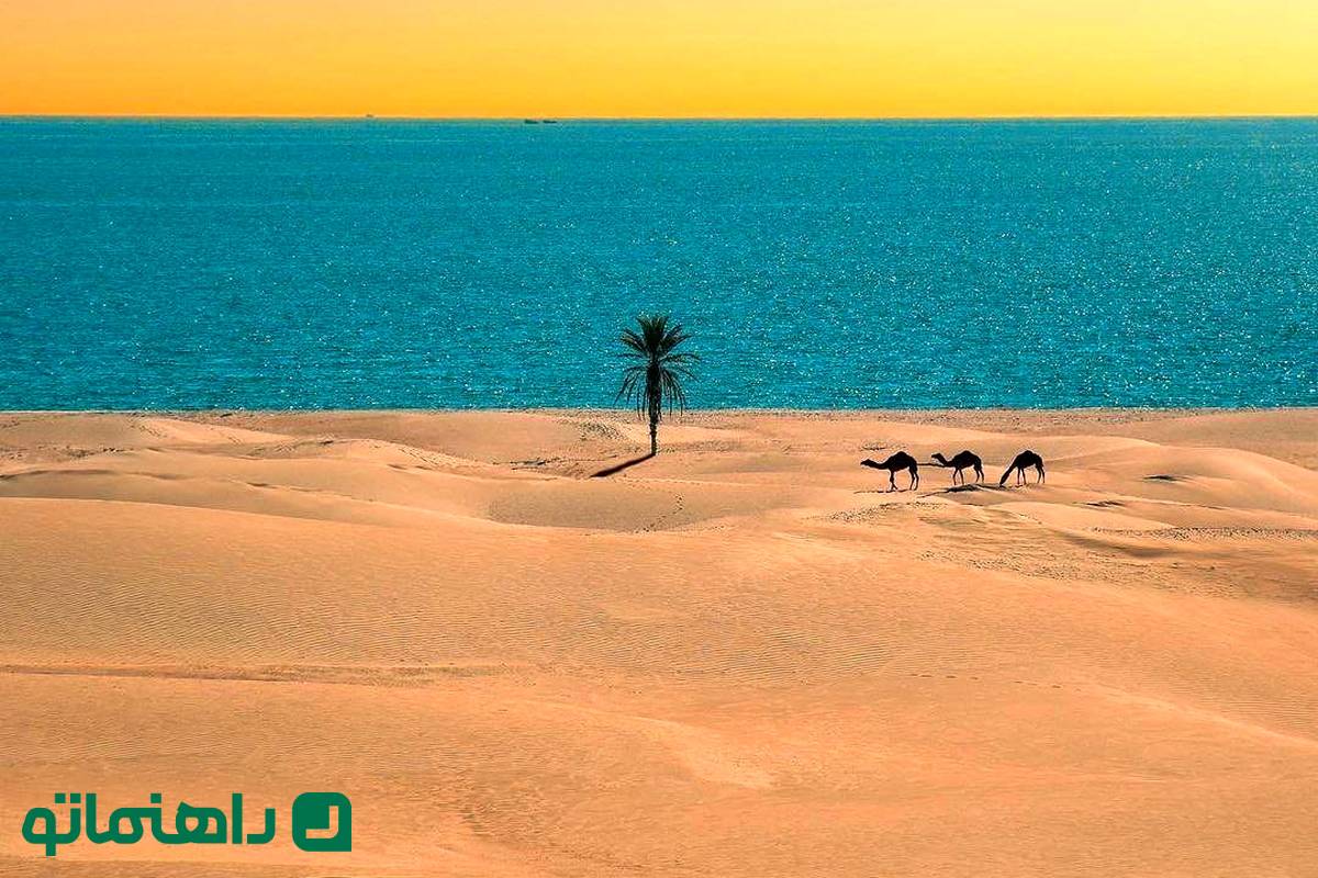 جاهای دیدنی ایران در زمستان ؛ 5 شهر ایران که در زمستان دل انگیزترند