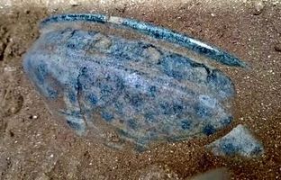 لحظه کشف یک اثر تاریخی مهم در ایران/ تصاویر هیجان انگیز این کشف زیبا را ببینید + ویدئو