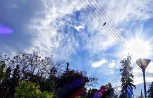 وضعیت هوا تهران امروز یکشنبه 14 بهمن