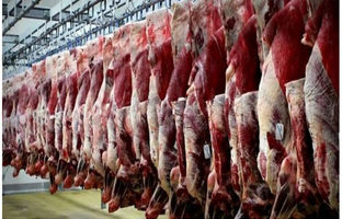 قیمت گوشت قرمز، امروز دوشنبه ۳۰ مهر ۱۴۰۳