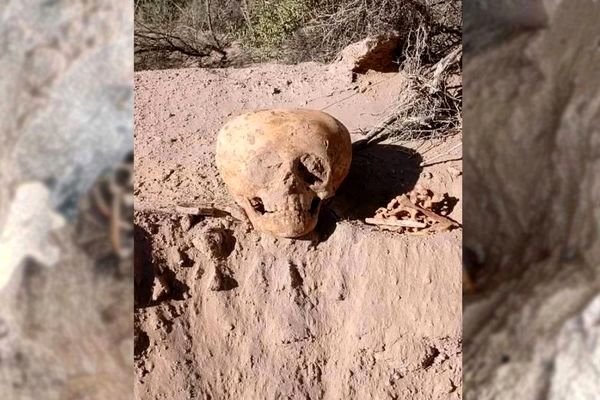  کارگران ساختمانی جمجمه «مرد مورچه‌ای» را کشف کردند 