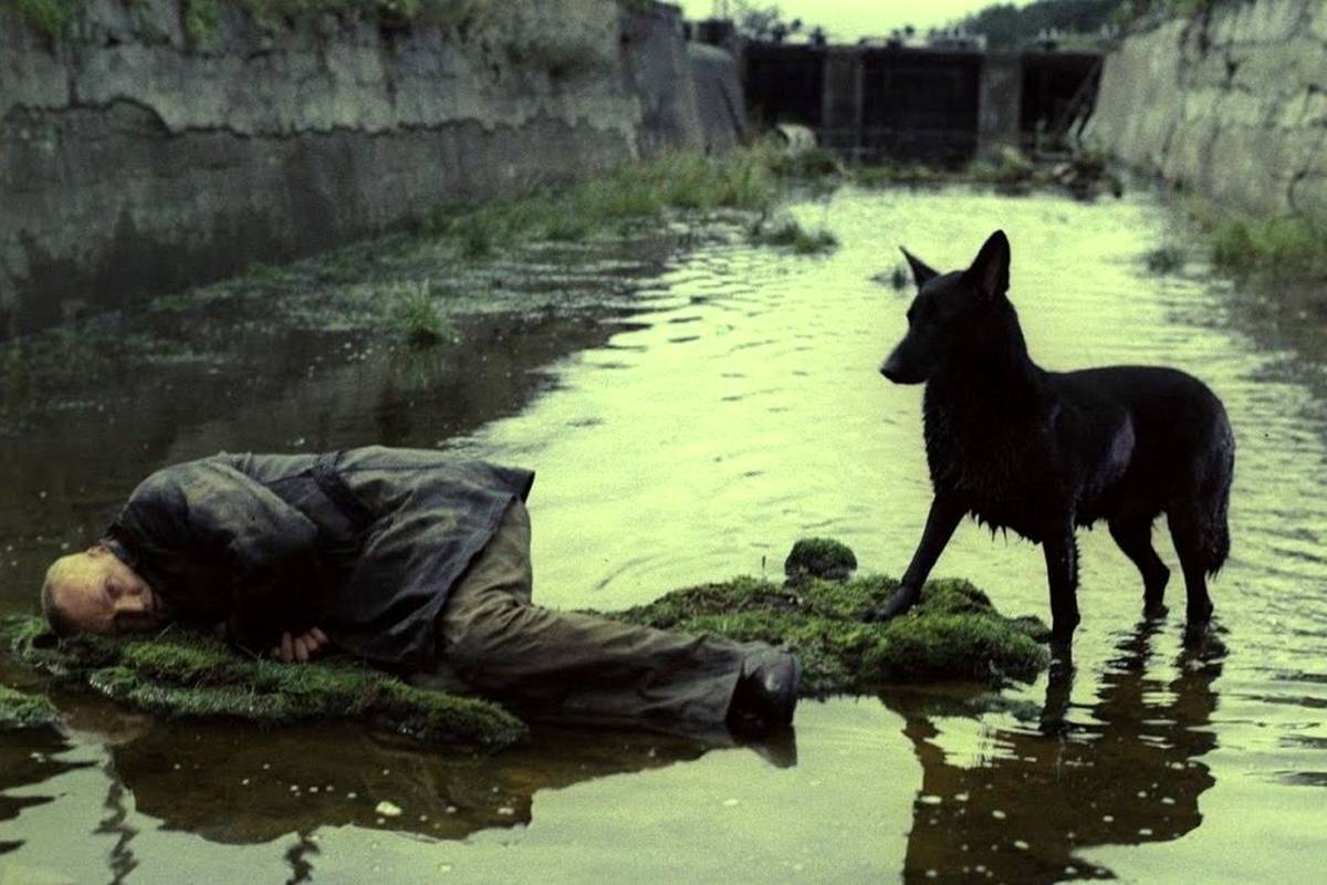 10 فیلم‌ برتر فلسفی تاریخ سینما