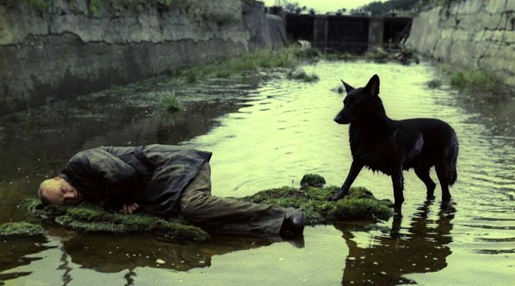 10 فیلم‌ برتر فلسفی تاریخ سینما
