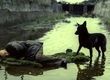10 فیلم‌ برتر فلسفی تاریخ سینما
