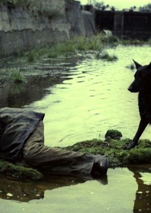 10 فیلم‌ برتر فلسفی تاریخ سینما