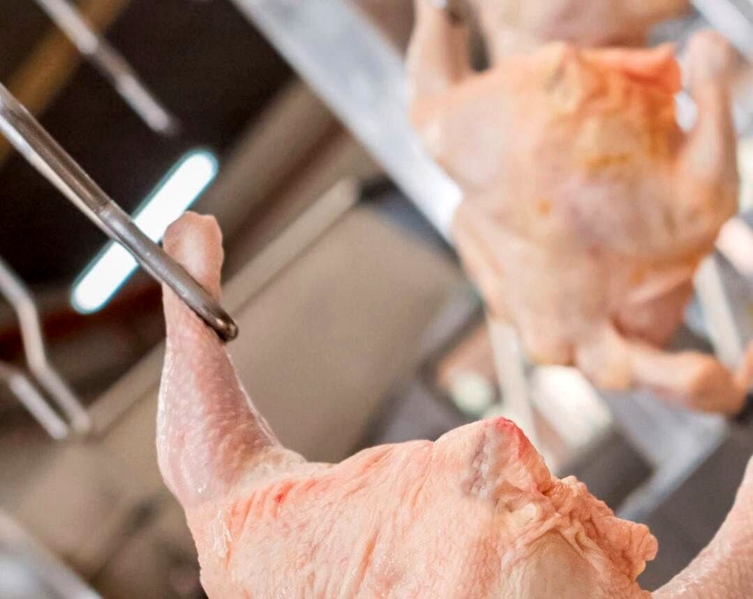 
قیمت گوشت مرغ، امروز شنبه ۱۳ بهمن ۱۴۰۳
