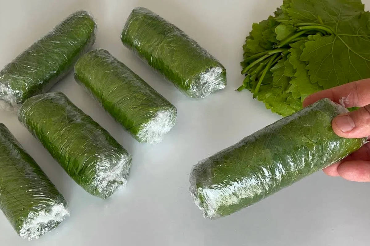 چگونه برگ مو را فریز کنیم؟