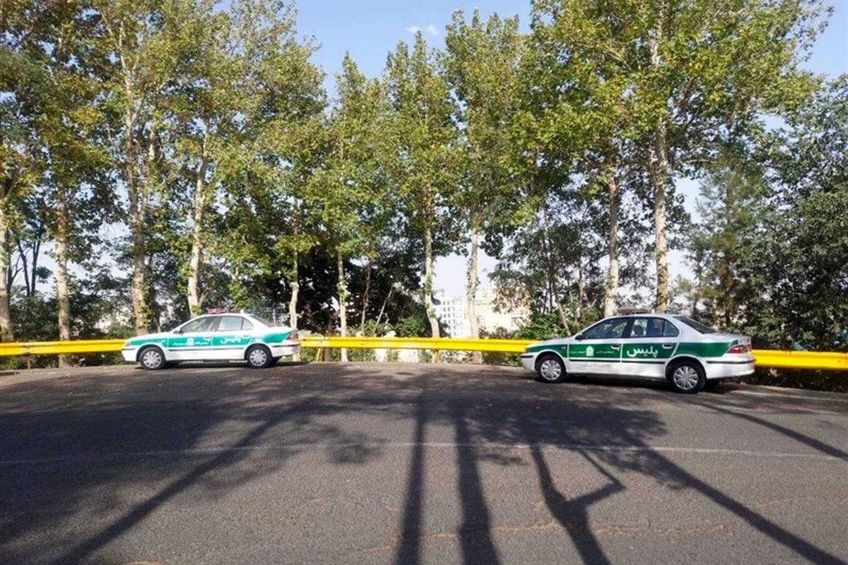 کشف استخوانهای انسان در فضای سبز محله نامجو
