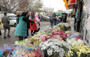 بهترین و زیباترین بازارهای گل و گیاه تهران که حتما باید ببینید