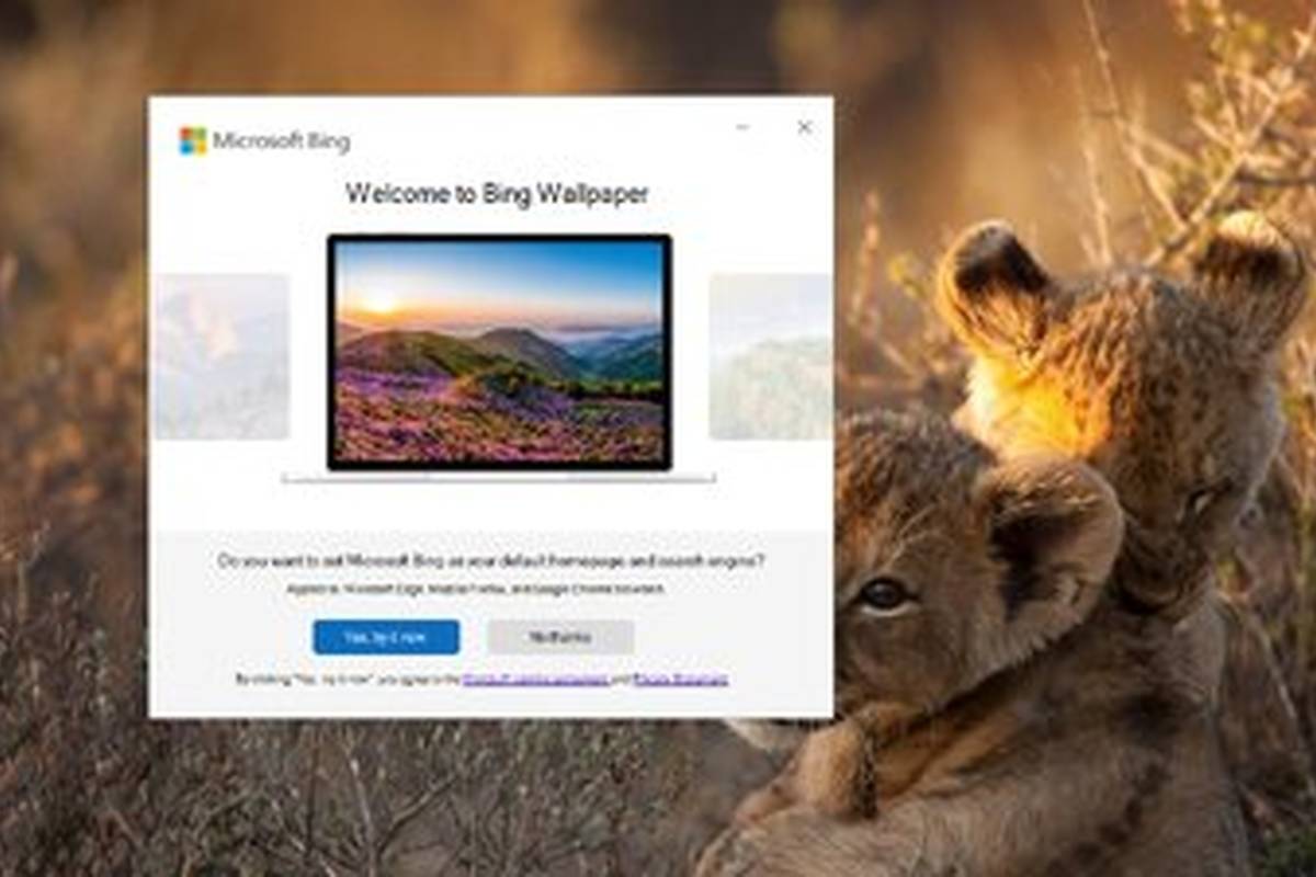 هشدار به کاربران ویندوز / این نرمافزار را نصب نکنید