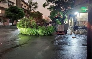 طوفان دیشب تهران ۶ نفر را مصدوم کرد/ پایتخت‌نشیان مراقب باشند