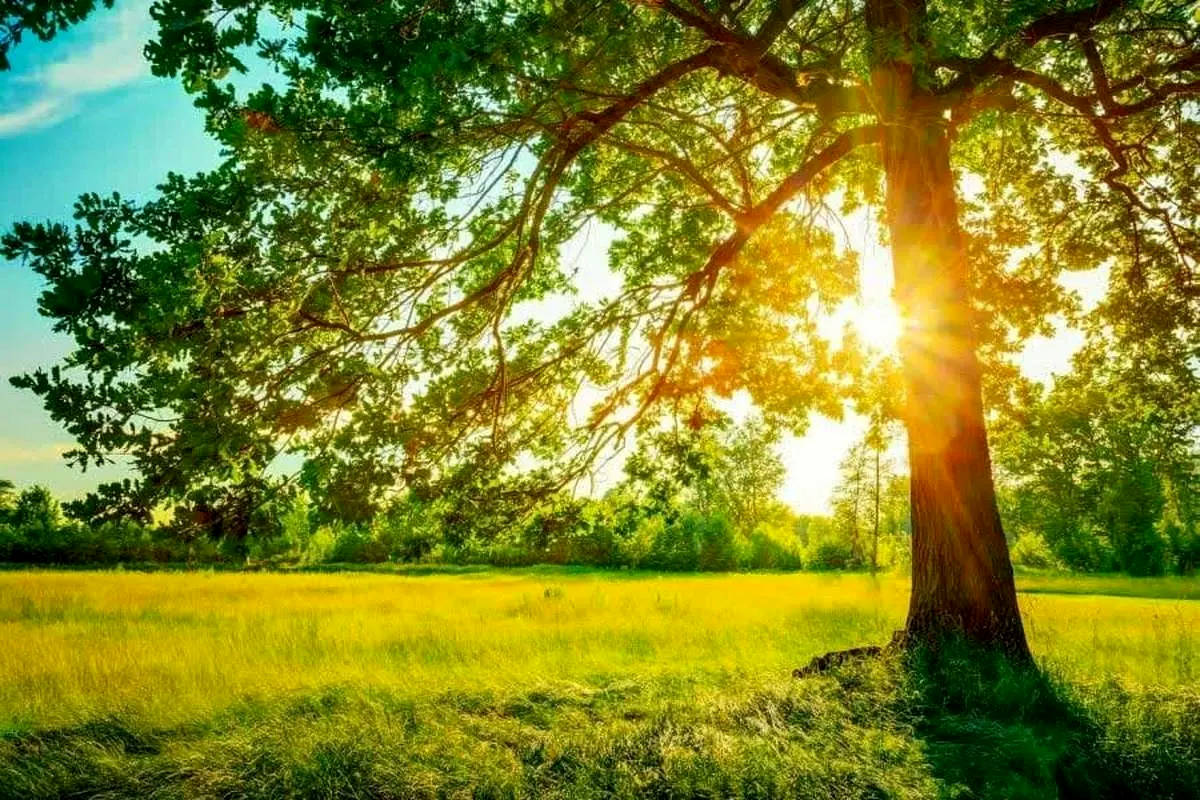 وضعیت آب و هوا امروز پنجشنبه 22 خرداد