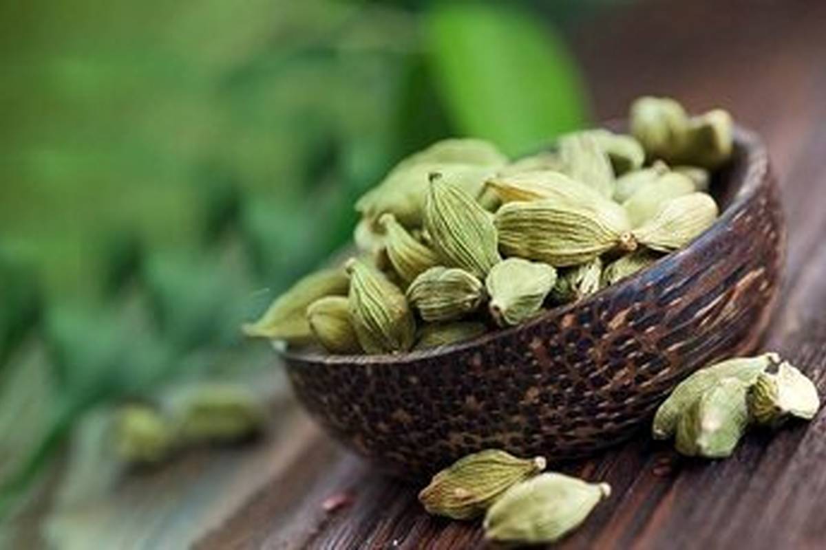 این روغن برای رفع گرفتگی عضلات مفید است/ سفیدکننده گیاهی دندان‌ها