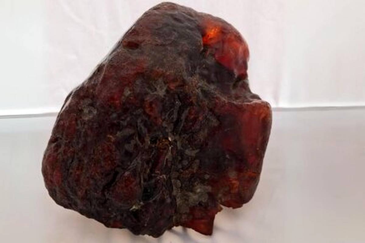 (تصویر) سنگی که زیردست و پا بود ۱.۱ میلیون دلار قیمت‌گذاری شد