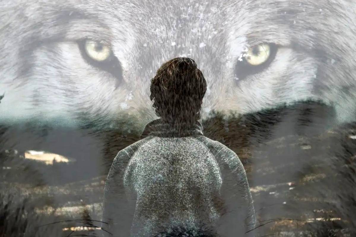 این 10 نشانه می گوید که شما «درون گرا» نیستید، «گرگ تنها» هستید