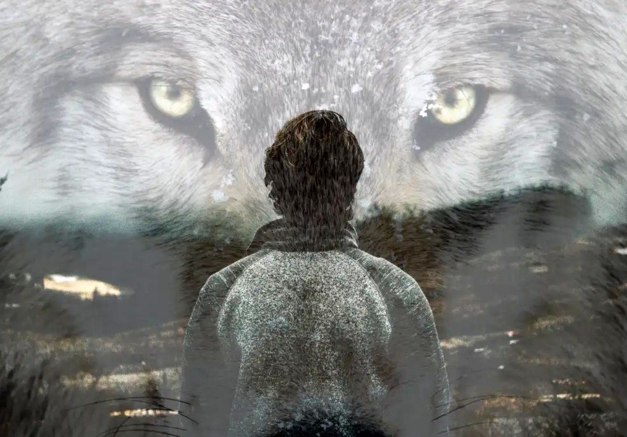 این 10 نشانه می‌ گوید که شما «درون‌ گرا» نیستید، «گرگ تنها» هستید