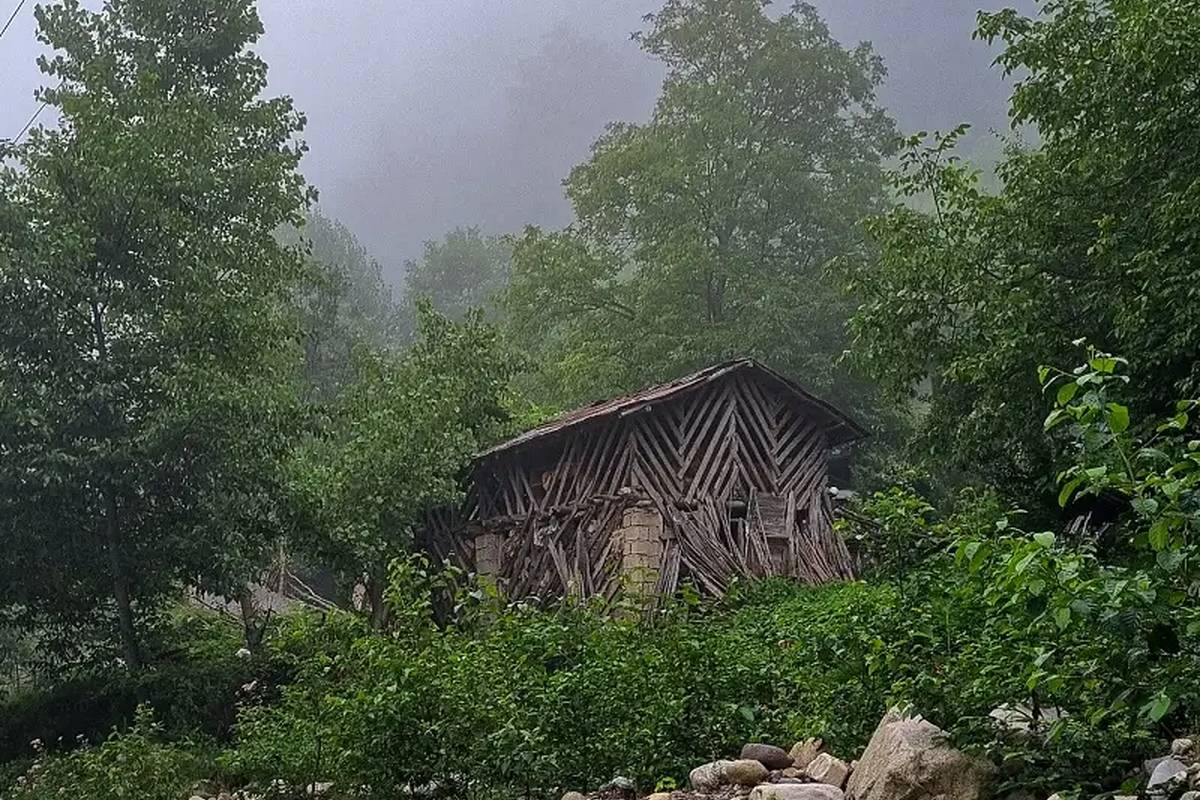 راهنمای سفر: کمپینگ در جنگل دو هزار