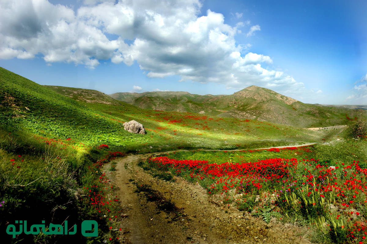پرشکوفهترین روستاهای اطراف مشهد در روزهای بهاری