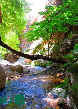 سفر به روستای مال آقا؛ بهشتی سبز و خنک در تابستان جهنمی خوزستان

