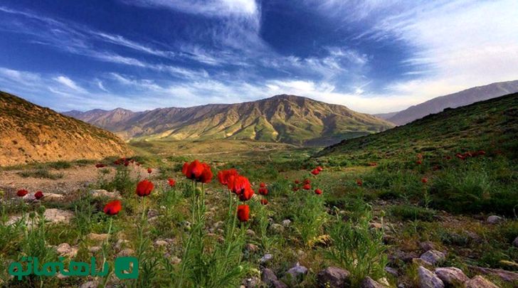 کوهنوردی در دماوند: راهنمای جامع برای مبتدیان با نکات ایمنی و جاذبه‌ها