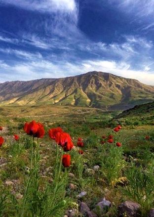 کوهنوردی در دماوند: راهنمای جامع برای مبتدیان با نکات ایمنی و جاذبه‌ها