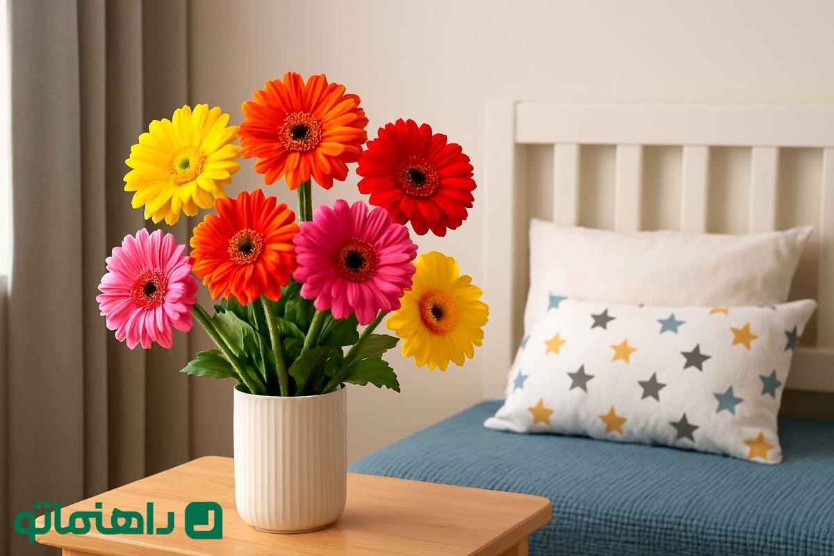 گلهای بهاری ۱۴۰۴: ژربرا، خندههای رنگی را در دنیای کودکانه میکارد