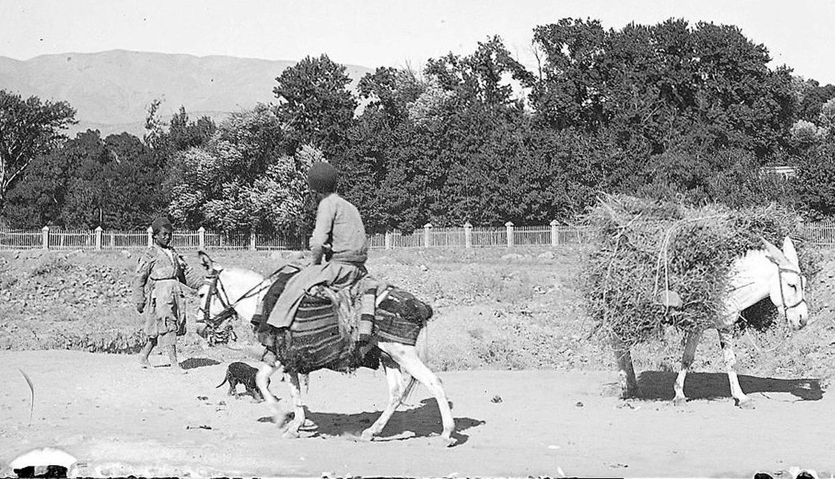  سفر به ایران قدیم؛ الاغ‌سواری خانوادگی در تهران در دوران قاجار + عکس