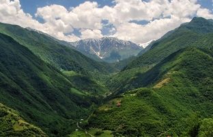 3 جاذبه طبیعی در جنگل‌های دو هزار و سه‌ هزار که از آن بی‌خبریم